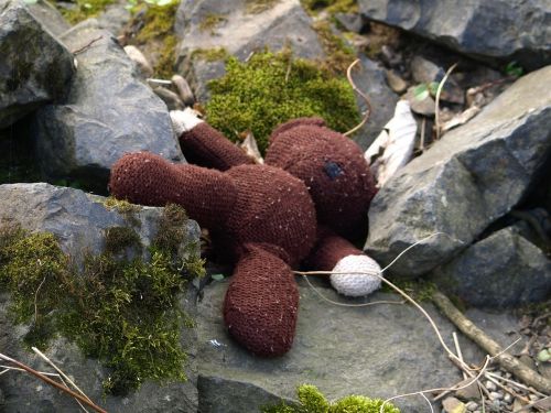 teddy teddy bear lost