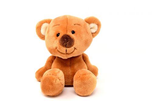teddy cute soft toy
