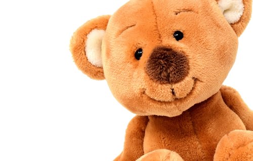 teddy  cute  soft toy