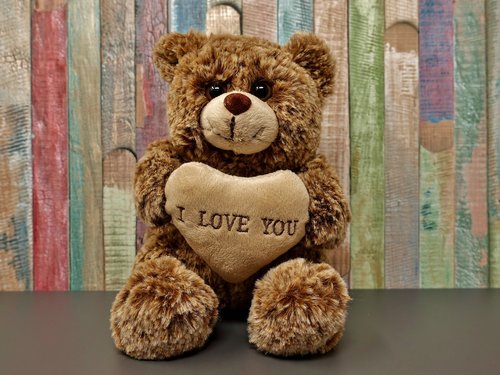 teddy  love  romance