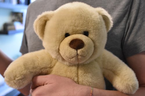 teddy  teddy bear  toy