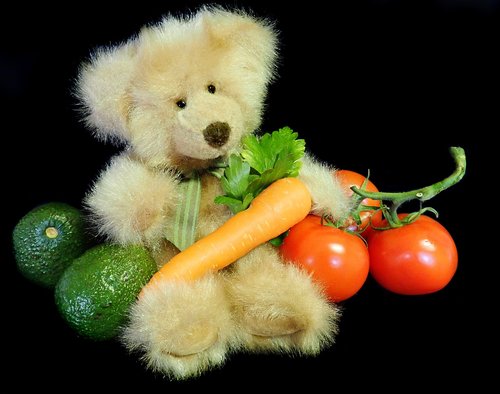 teddy  bear  vegetarian