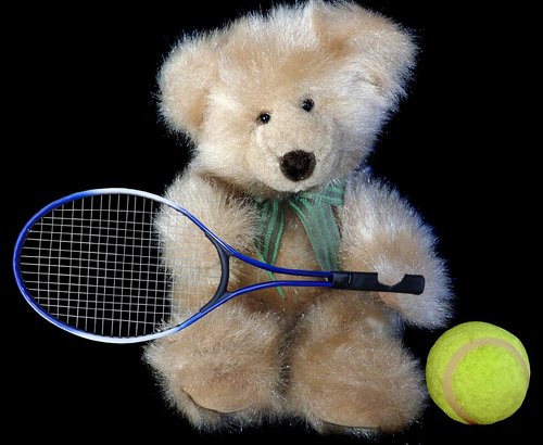 teddy  bear  tennis