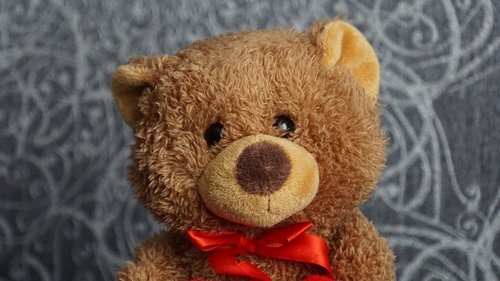 teddy  teddy bear  stuffed animal