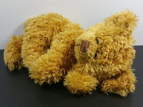 teddy bear toys