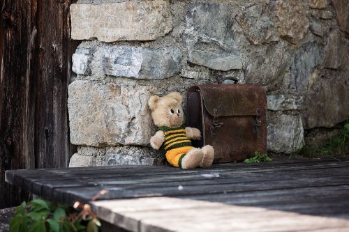 teddy teddy bear schoolbag
