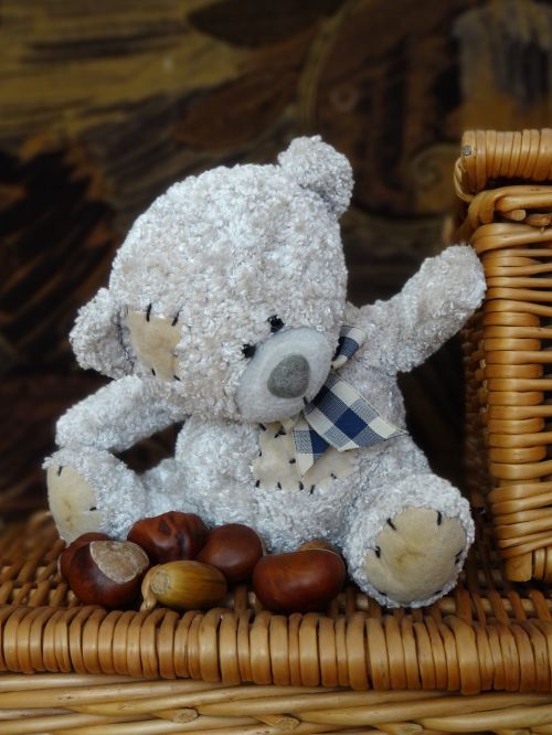 teddy bear the mascot plush mascot
