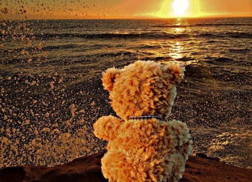 teddy bear lonely sunset