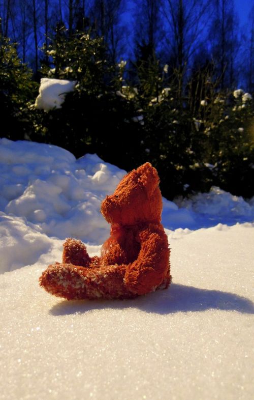 teddy bear red snow