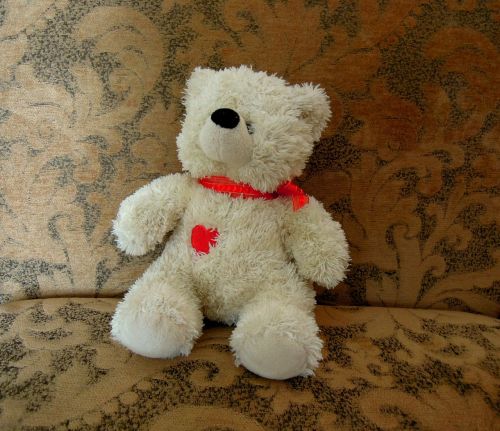 teddy bear white red