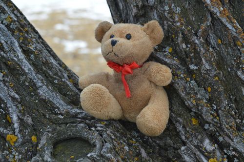 teddy bear tree sitting