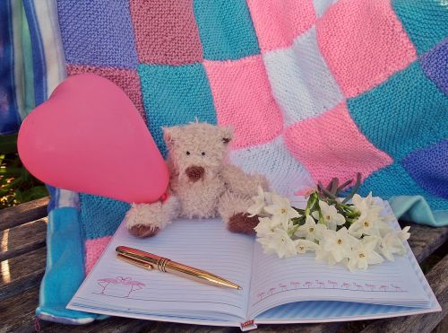 teddy bear heart pink