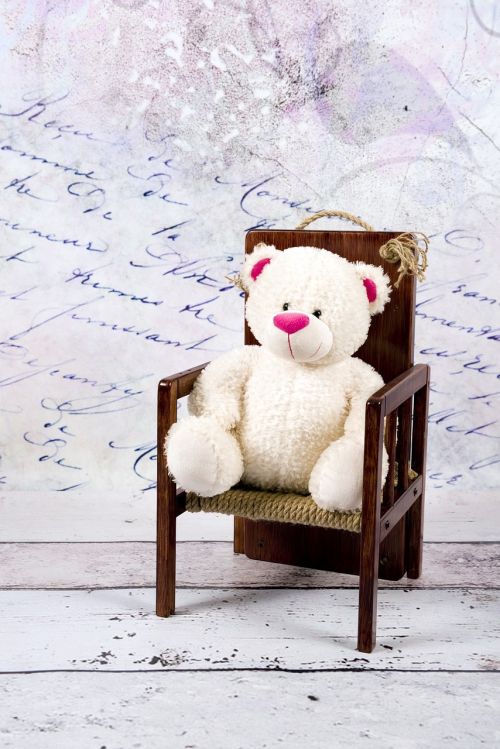 teddy bear white studio