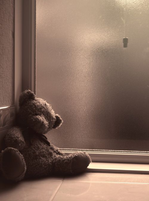 teddy bear window sepia