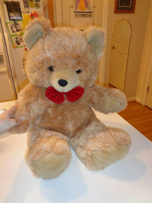 teddy bear stuffed animal animal
