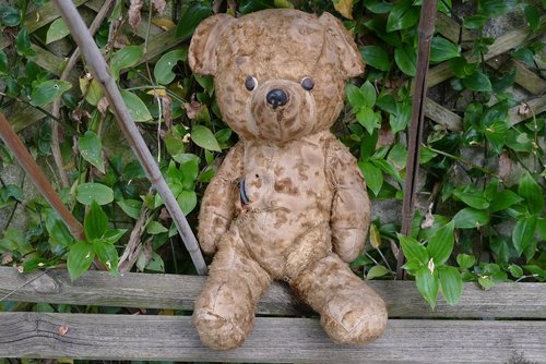 teddy bear  old teddy bear  bear plush