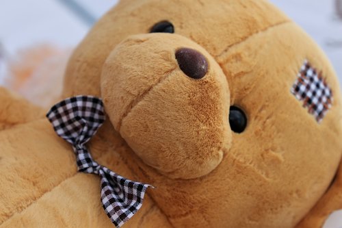 teddy bear  charming  bow