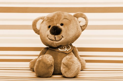 teddy bear  teddy  soft toys