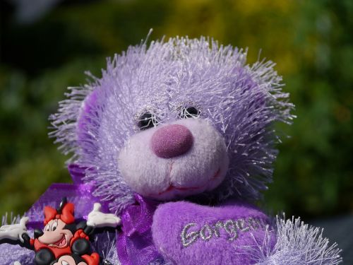 teddy bear purple bear