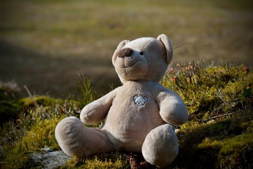 teddy bear stuffed animal soft toy
