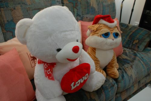 teddy bear stuffed toys toy