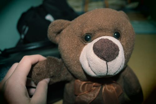teddy bear doll bear