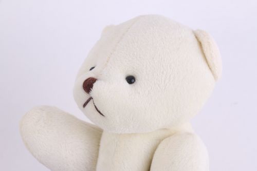 teddy bear bear doll