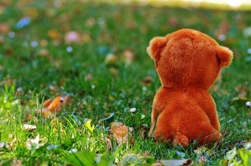 teddy bear stuffed animal farewell