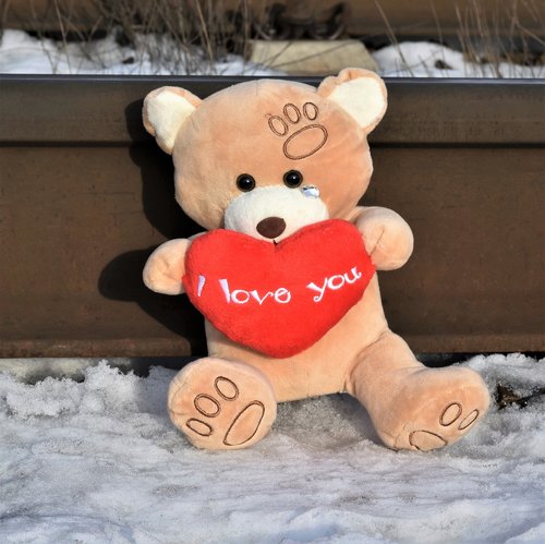 teddy bear crying  stop youth suicide  snow