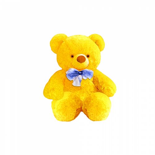 Teddy Bear Isolated