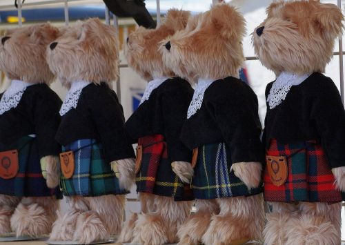 teddy bears kilt shop window