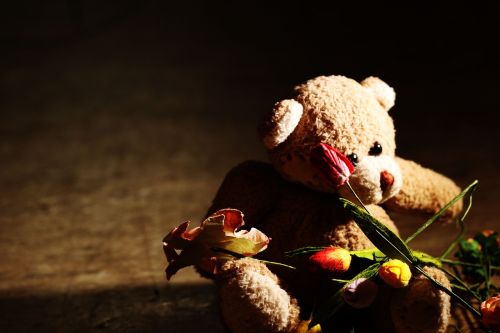 teddybear flowers miniature
