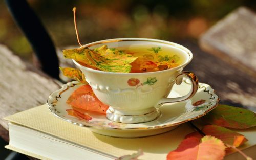tee teacup autumn