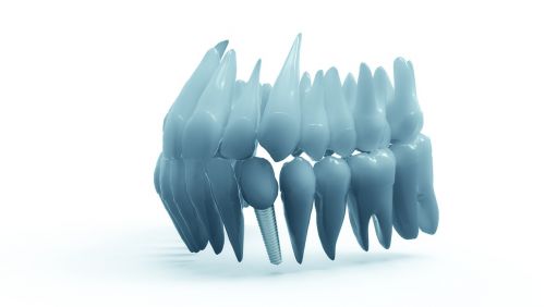 teeth jaw 3d model