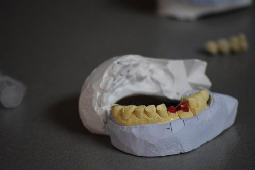 teeth tooth dental