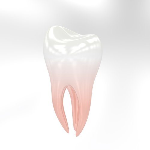 teeth  tooth  dentist