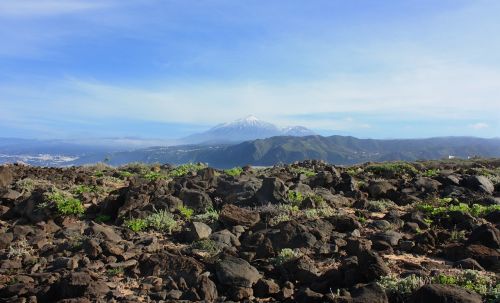 teide volcano tenerife