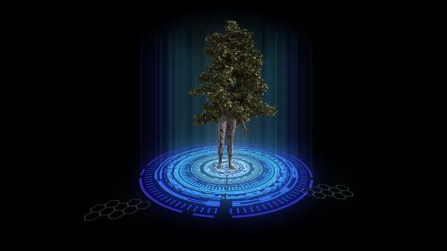 teleportation tree nature