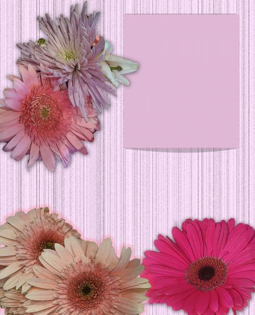 Template Special Flower Card
