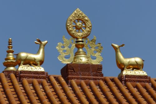 temple roof gold