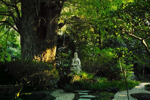 temple japan buddha statue