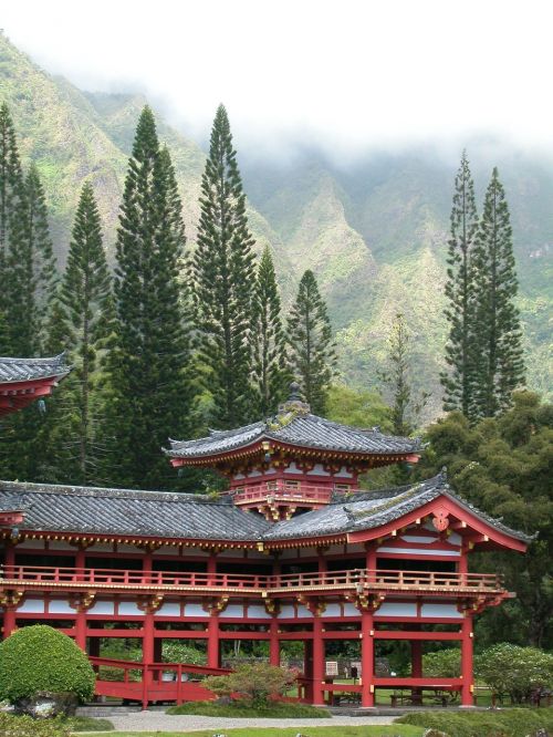 temple hawaii trees