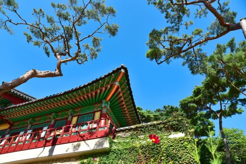temple korea incheon
