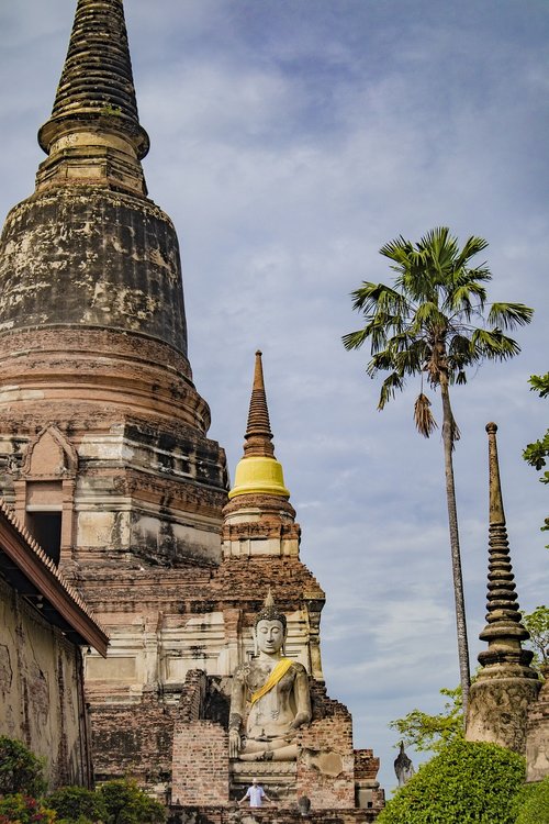 temple  thailand  palm