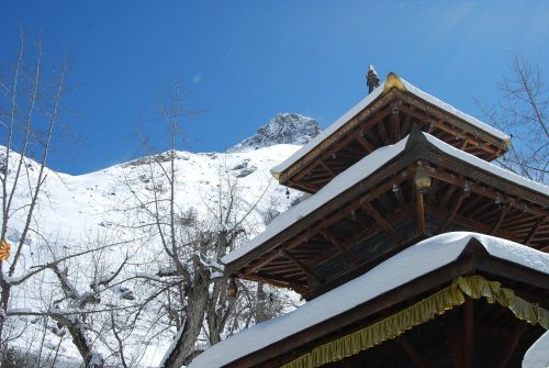 temple buddhist pagoda