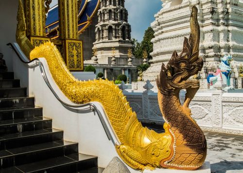 temple complex temple dragon snake