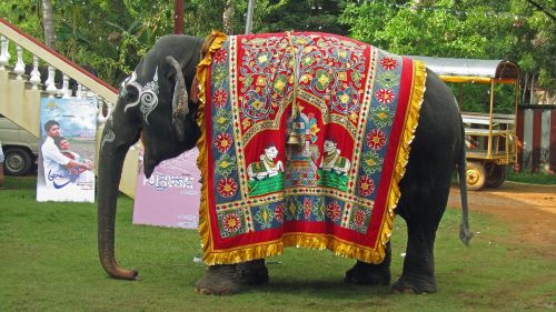 temple elephant india hinduism