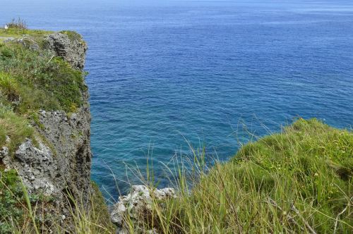 ten thousand mao sea grassland