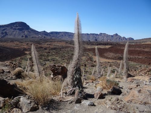 tenerife desert teide national park