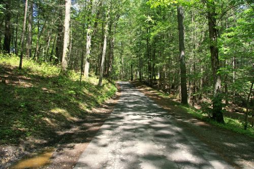 tennessee smoky mountains landscape